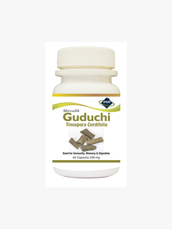 Guduchi medicine suppliers & exporter in Chandigarh, India