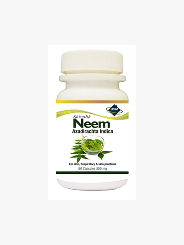 Neem Azadirachta indica medicine suppliers & exporter in Holland