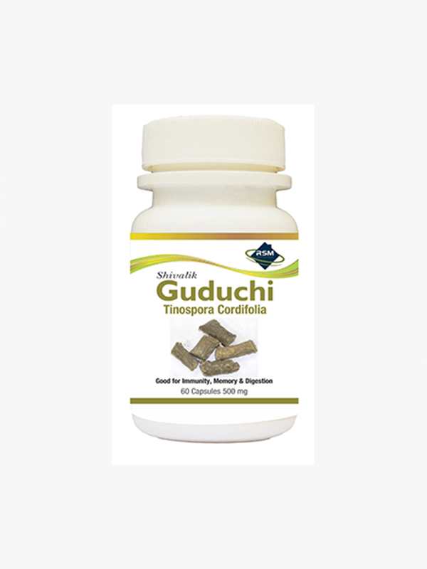 Guduchi medicine suppliers & exporter in South  Africa